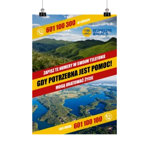 Plakat profilaktyczny: Gdy potrzebna jest pomoc!